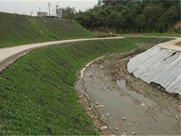 水土保護毯案例